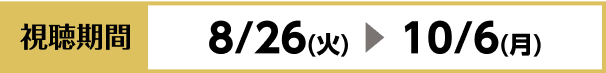 視聴期間
